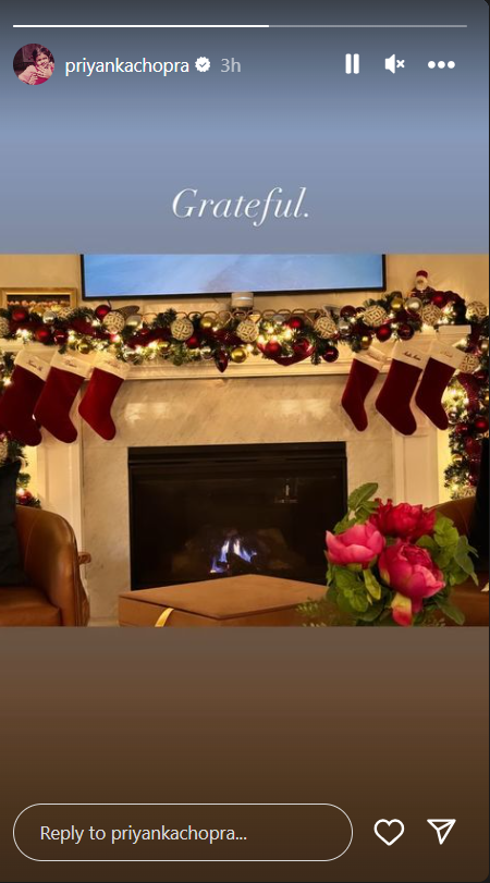 Priyanka Chopra Christmas Celebrations