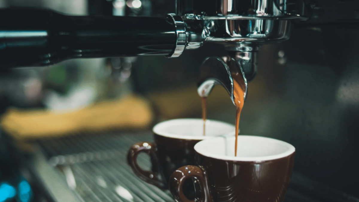 Top 10 Most Expensive Coffee In The World Black Ivory To Saint Helena