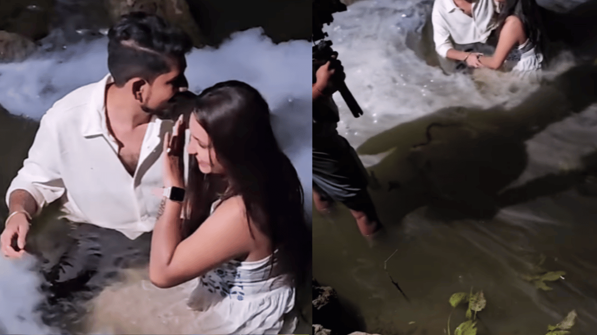 viral-video-snake-crashes-couple-pre-wedding-shoot-earns-scary-guest-title-watch