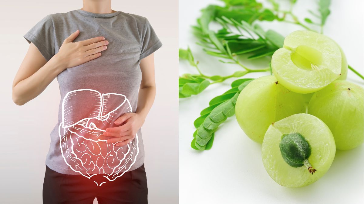 6-benefits-of-adding-one-amla-into-your-routine