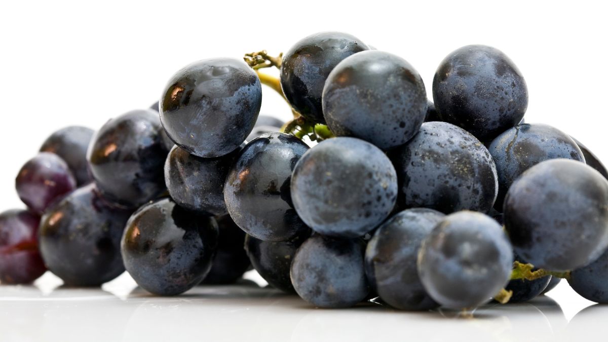 Benefits Of Eating Black Grapes In Winters: 5 Incredible Reasons To Eat ...