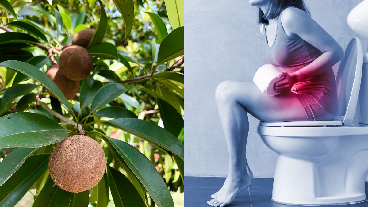 5-unbelievable-health-benefits-of-eating-chickoo-this-winter-season