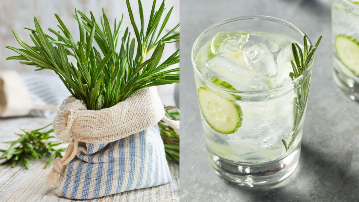 is-drinking-rosemary-water-effective-for-weight-loss-expert-weighs-in