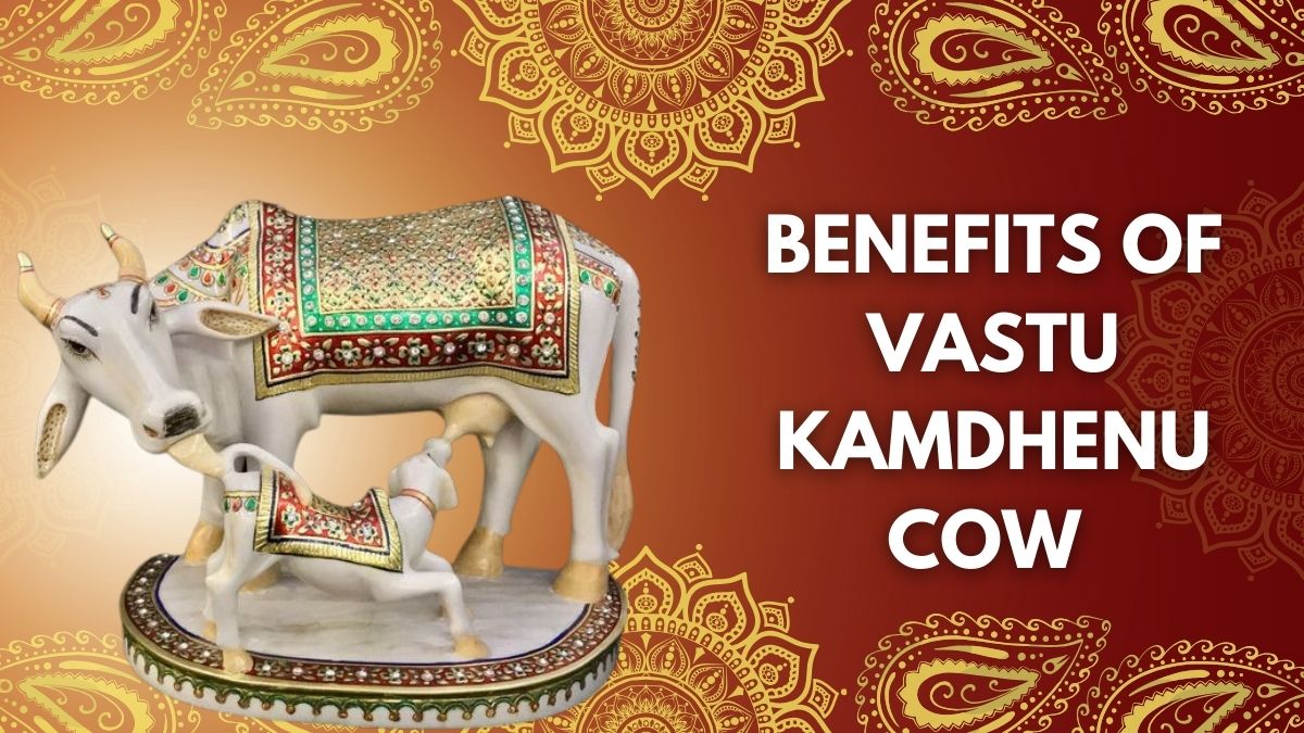 Kamdhenu Cow And Calf Benefits Of Bringing This Sacred Cow Statue As