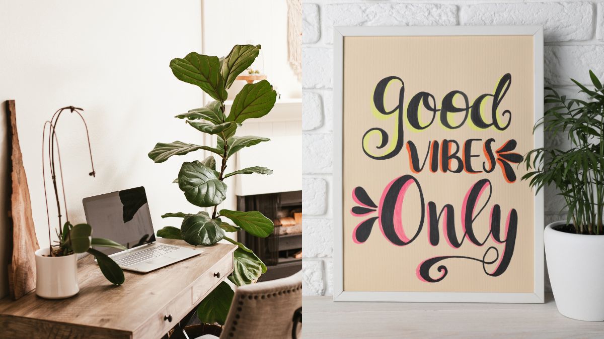 5-lucky-plants-to-keep-at-your-office-desk-for-good-and-positive-energy