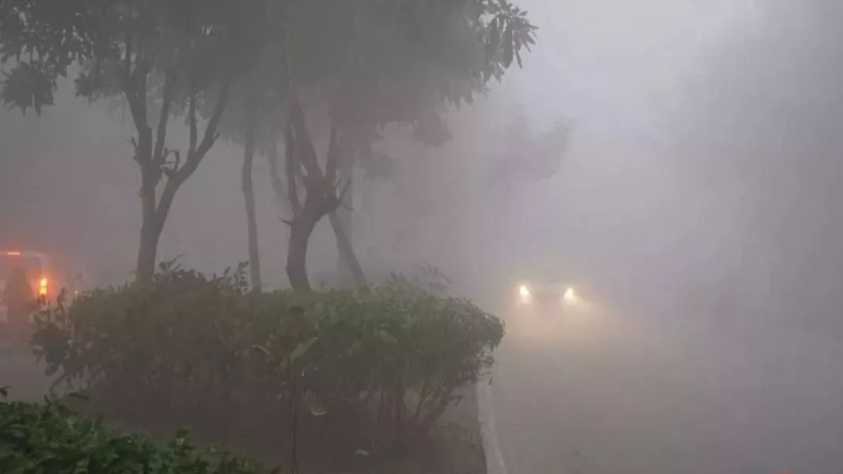uttar-pradesh-weather-dense-fog-engulfs-agra-meerut-and-shamli-temperature-to-remain-stable-over-next-week-check-imd-forecast