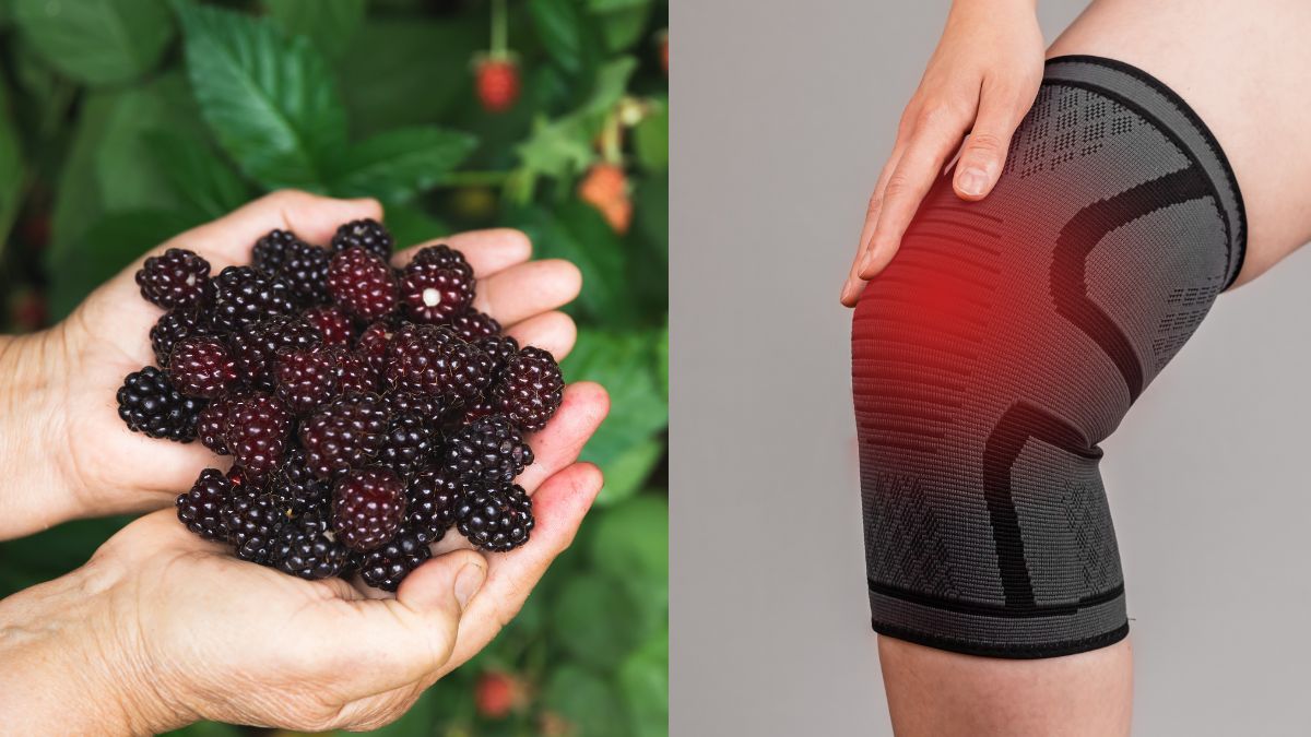 6-advantages-of-adding-blackberries-into-your-diet-for-overall-health