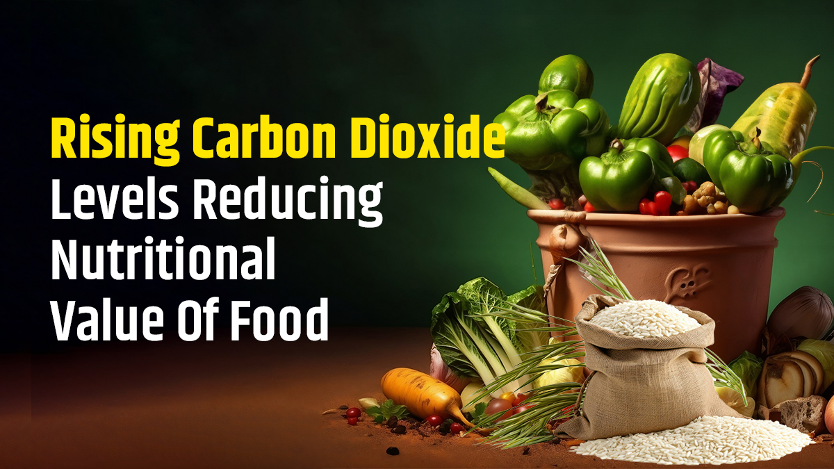 Rising Carbon Emissions Adversely Affect Nutritional Value Of Green