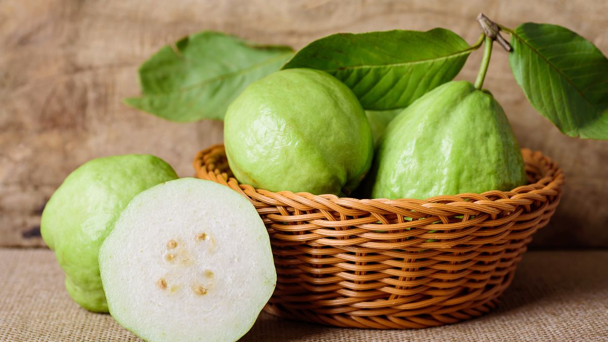 6 Unbelievable And Effective Benefits Of Winter Fruit Guava