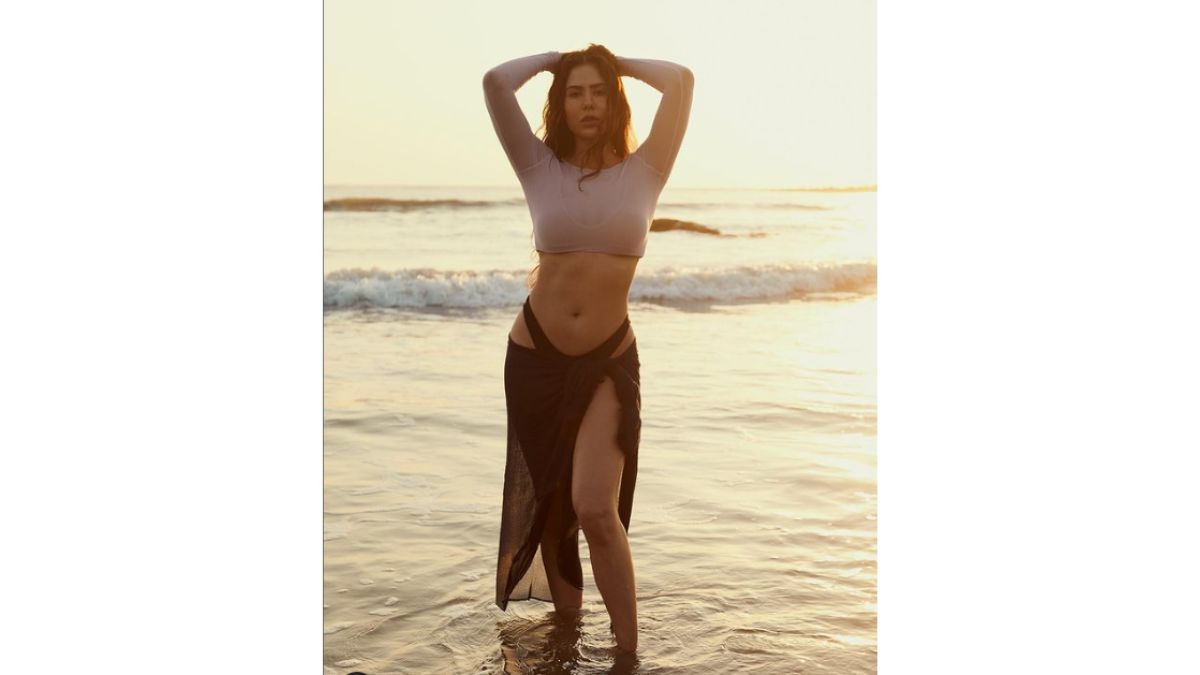 Punjabi Heroine Sonam Bajwa Xxxx - It's Hot In Here! Sonam Bajwa Enjoys 'Sunset' On Beach And How? See Pics