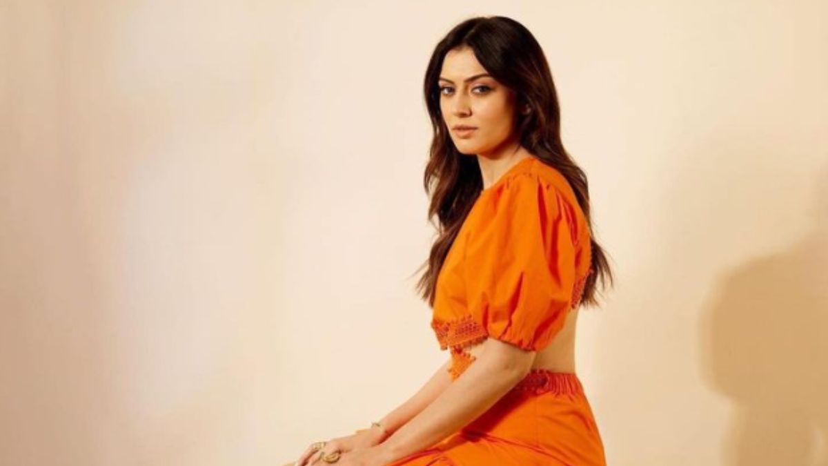 Hansika Motwani Opens Up On Rumours Of Getting Hormonal Injections At 21:  'If That Is True, Then...'