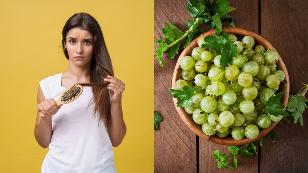 Haircare Tips: Amla To Fenugreek Leaves; 5 Effective Herbs To Tackle Hair  Fall And Boost Growth