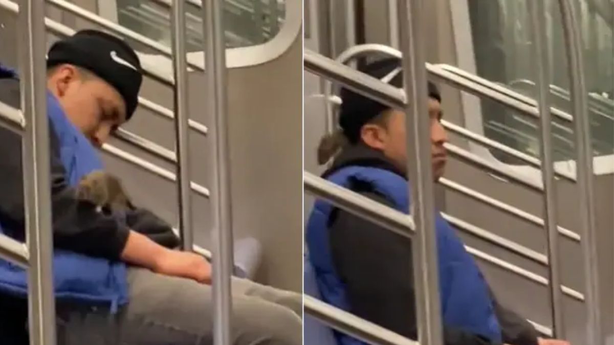 Video: Rat Wakes Up Man Sleeping On New York Subway; Here's What Happened Next