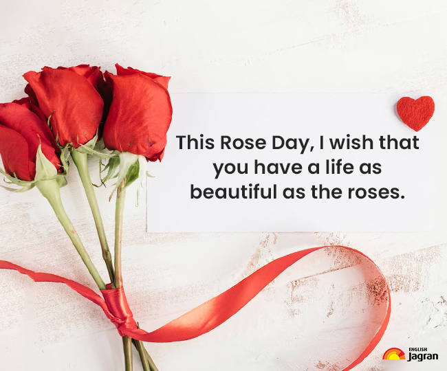 Happy Rose Day 2023 Wishes, Quotes, SMS, Images, WhatsApp And Facebook ...