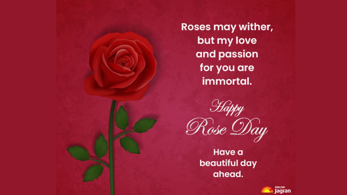 Happy Rose Day 2023 Wishes, Quotes, SMS, Images, WhatsApp And ...
