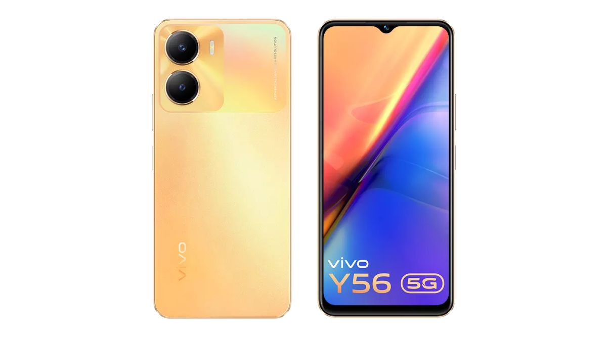 vivo 700 processor