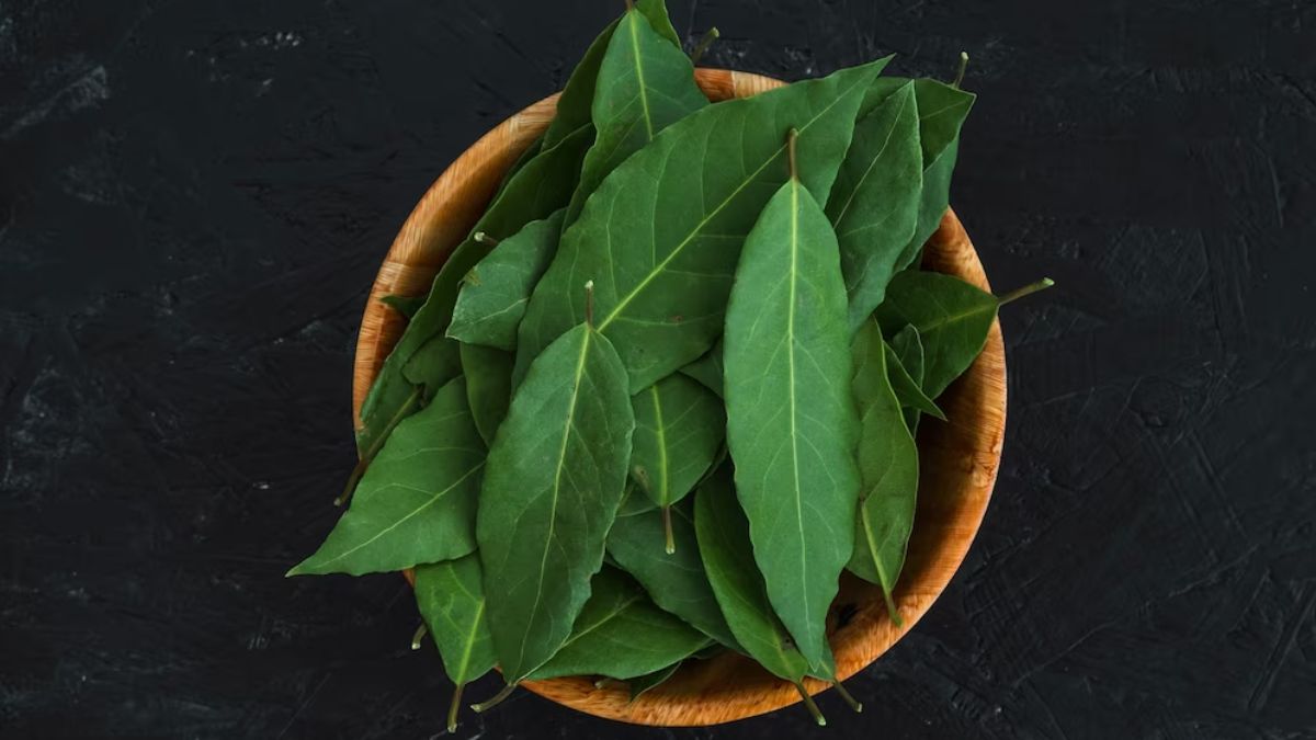 Bay Leaves (Tej Patta): Health Benefits, Uses, Side Effects And More |  TheHealthSite.com