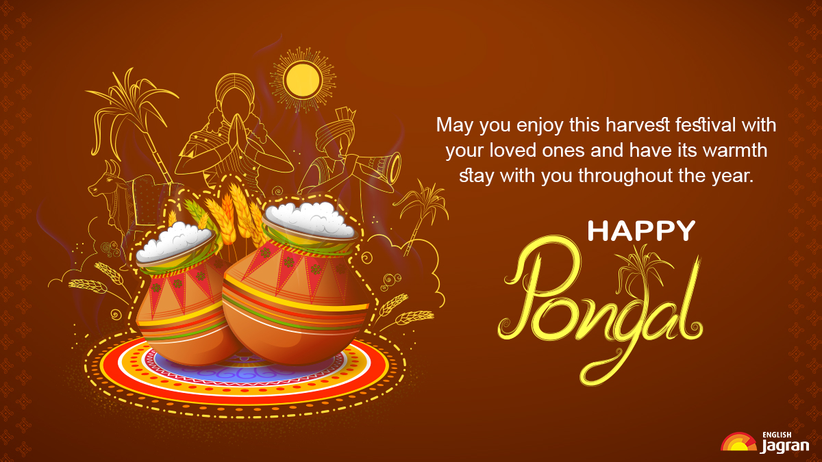 Happy Pongal 2023: Wishes, Quotes, Images, SMS, WhatsApp And ...