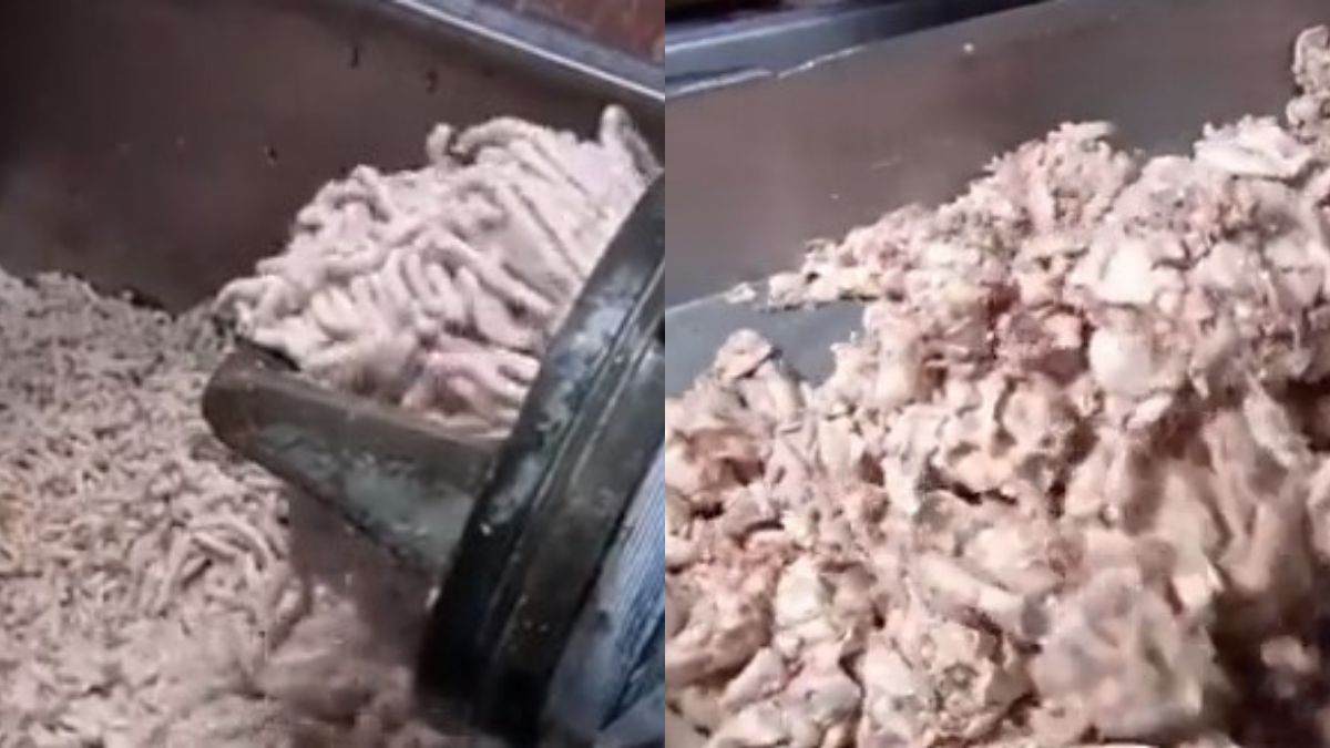 Viral Video: Hot Dog's Mass Production Process Leaves Netizens Feeling Disgusted | Watch