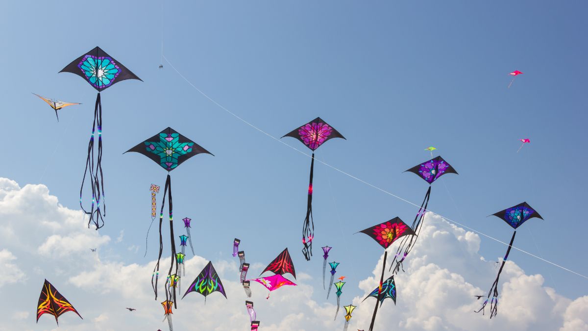 Makar Sankranti 2023: Here's Why We Fly Kites On This Auspicious Festival
