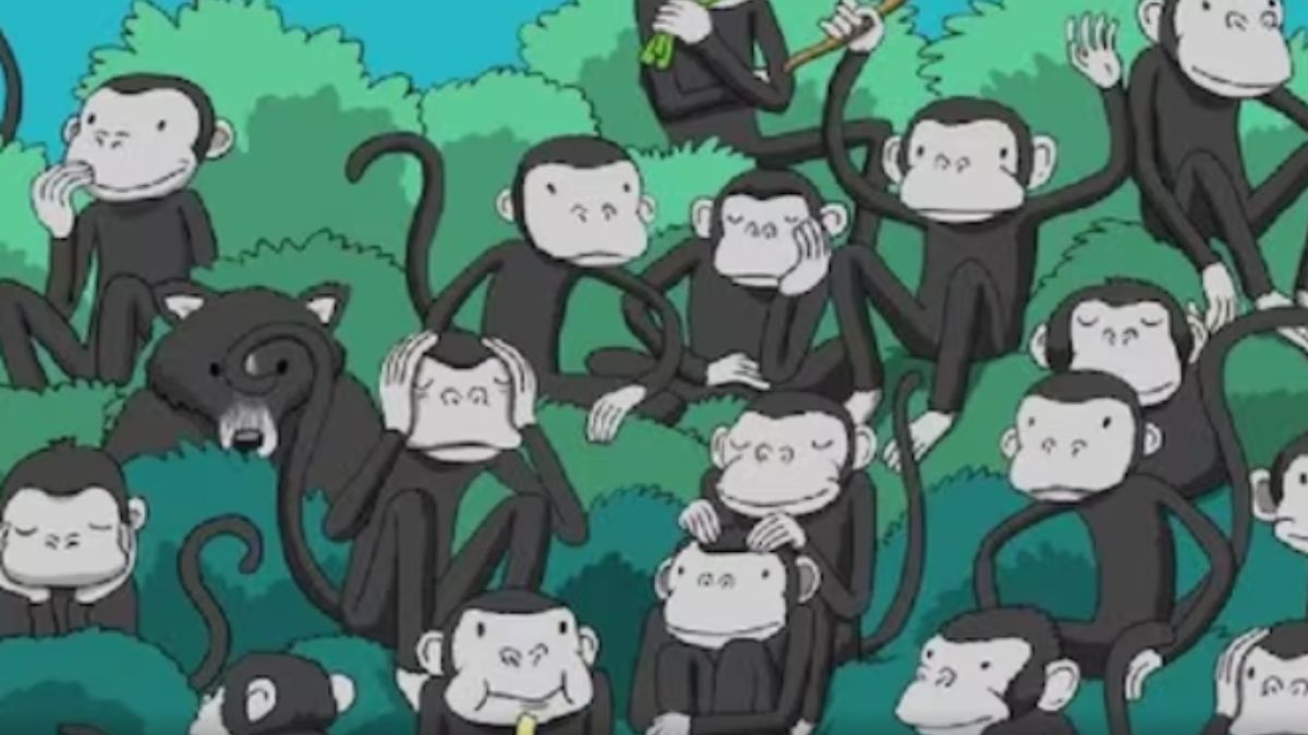 Optical Illusion: Spot The Hidden Bear Amongst The Monkeys Within 6 Seconds