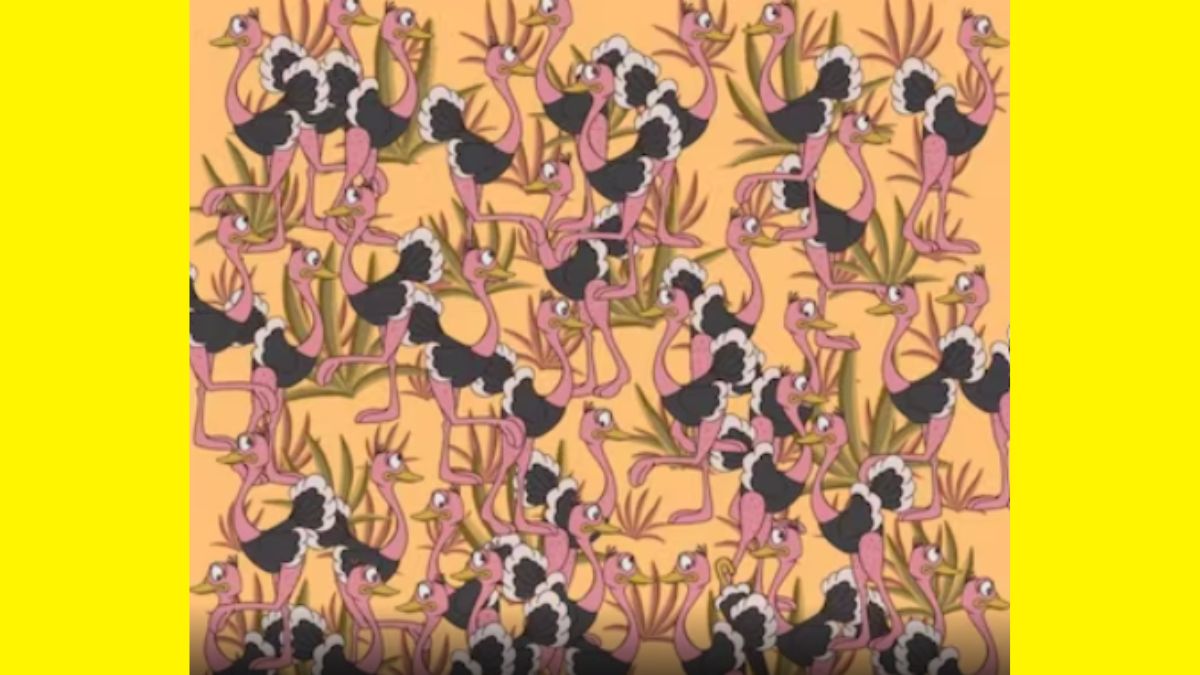 Optical Illusion: Only A Brilliant Mind Can Spot The Hidden Umbrella Among Ostriches In 8 Seconds