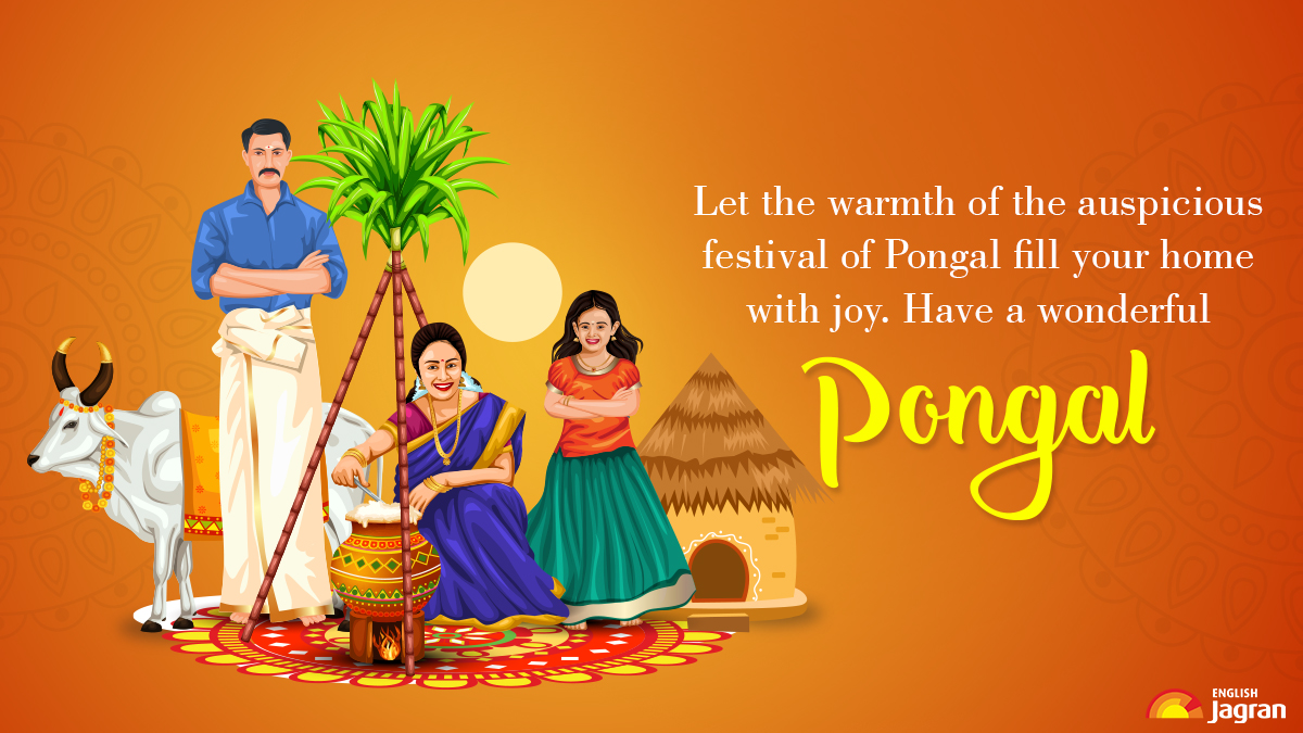 Pongal Festival 2024 Why, Where, When Celebrated South, 55 OFF
