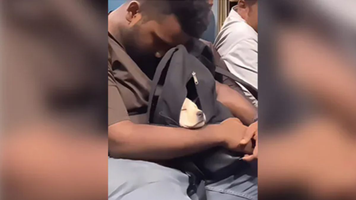 Video Of Man Carrying Puppy In Backpack Goes Viral; Internet Can't Stop Adoring | Watch
