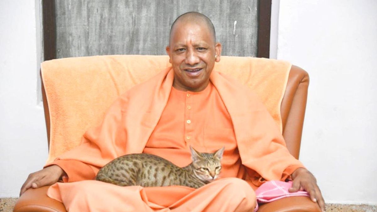 Yogi Adityanath Shares Pic With Cat On His Lap, Says 'Even Animals Can Tell Between Friends And Foes'