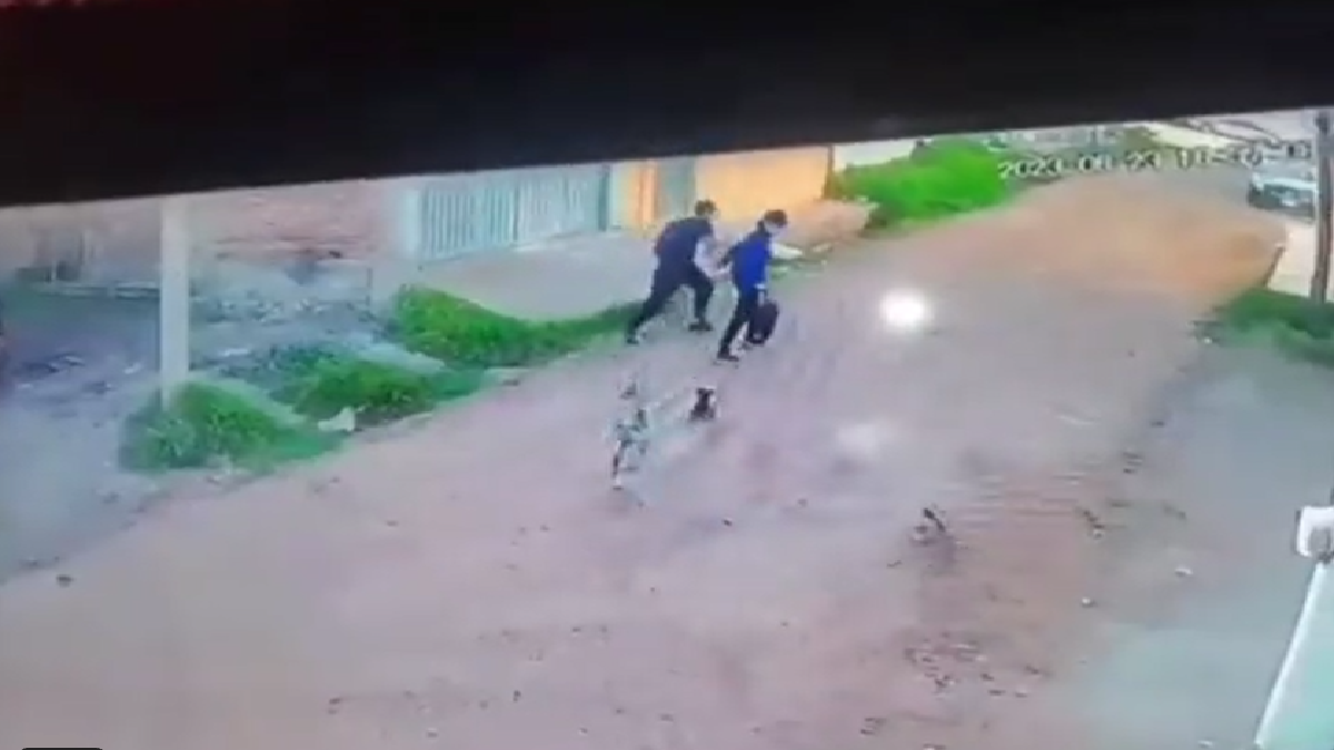 puppies-turn-the-tables-on-boys-who-scared-them-away-heres-how-watch