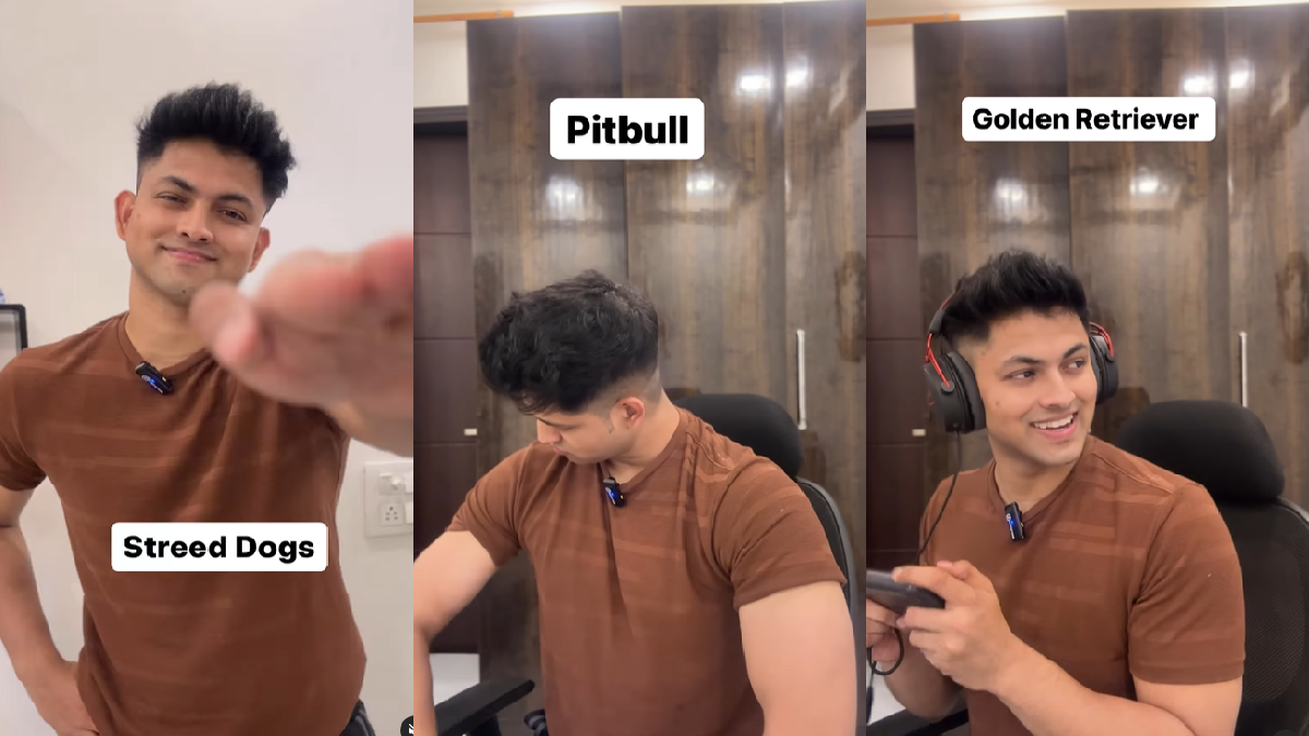 man-depicts-reactions-of-different-dog-breeds-during-robbery-video-goes-viral-watch
