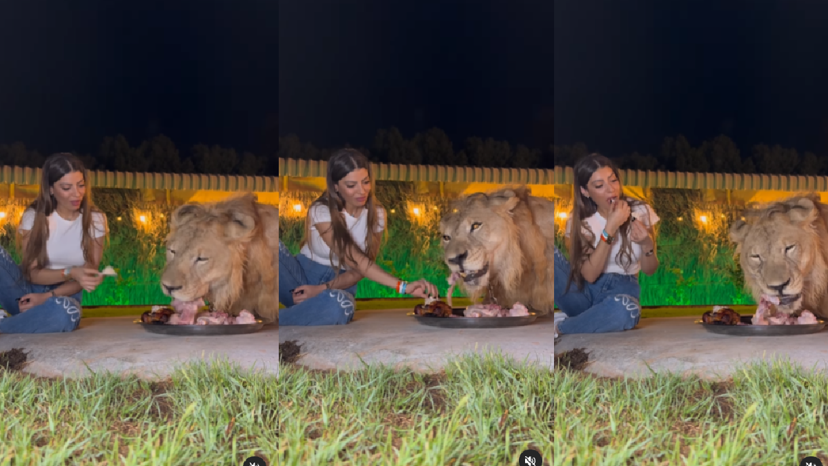 video-of-woman-sharing-meal-with-lion-goes-viral-netizens-call-it-mowgli-moment-watch