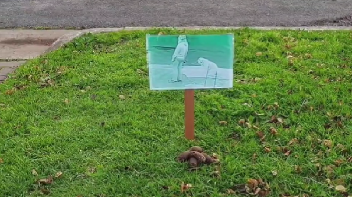 mans-revenge-to-confront-lady-letting-her-pet-defecate-in-front-of-his-residence-impresses-internet-watch