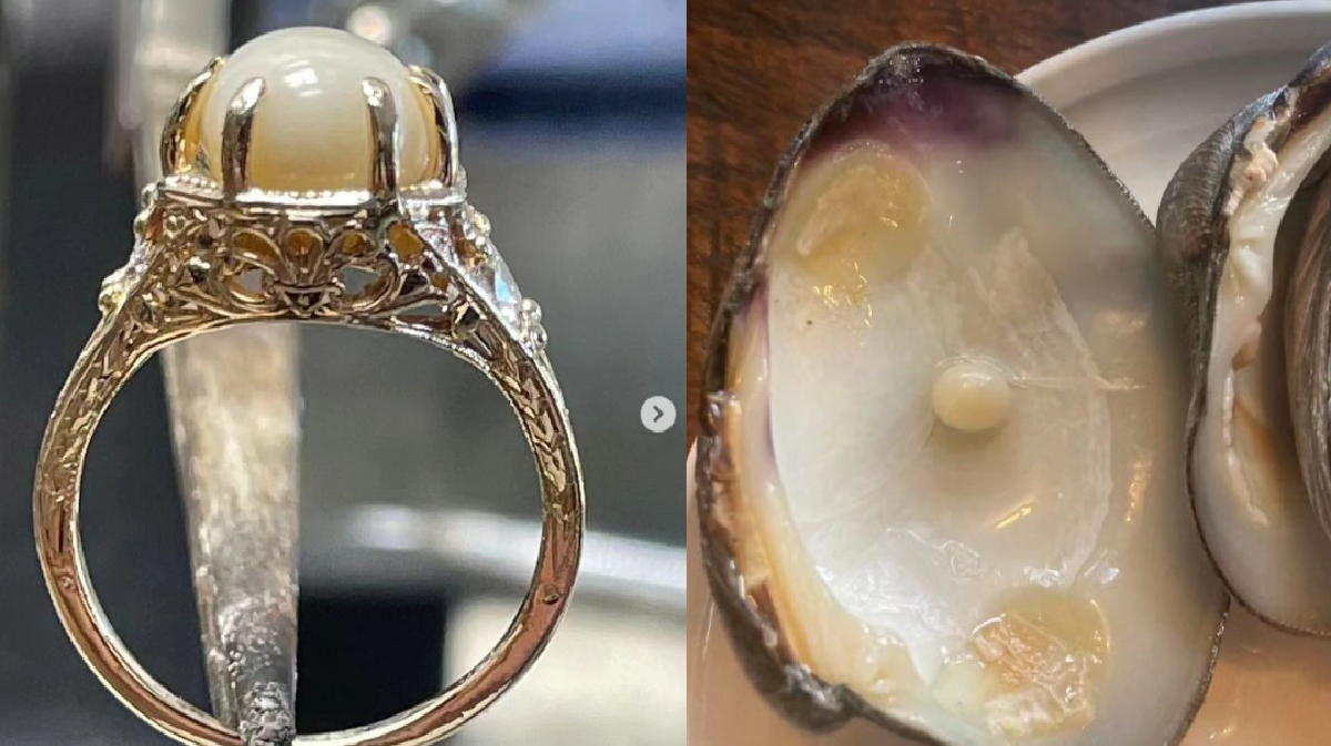 us-couple-finds-rare-pearl-while-eating-clams-at-restaurant-turns-it-into-engagement-ring-see-here