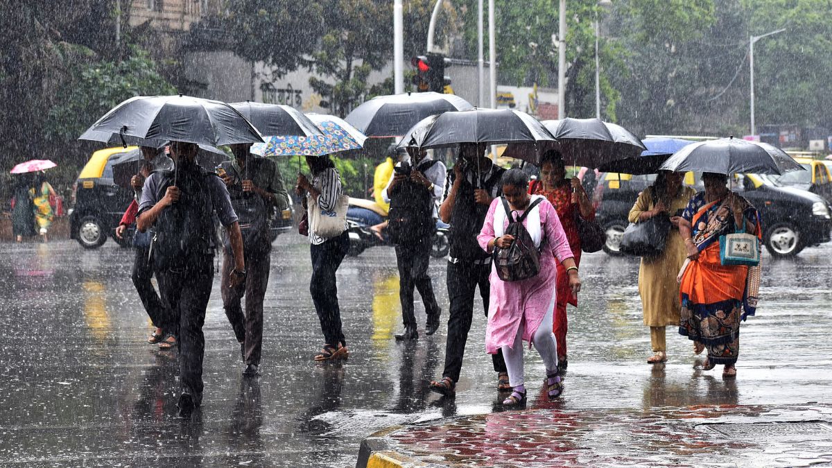 LIVE Heavy Rains Lash Mumbai, Red Alert In Palghar, Raigad; Ajit Pawar