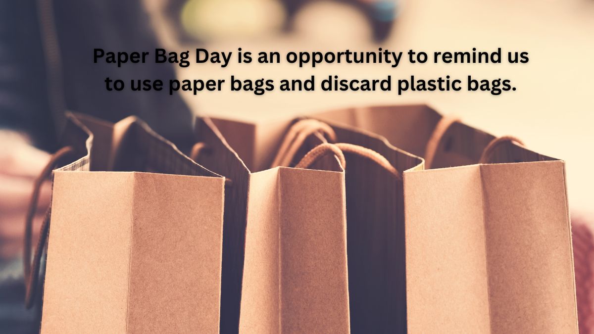 Paper Bag Day in the French Department - 12.07.2023
