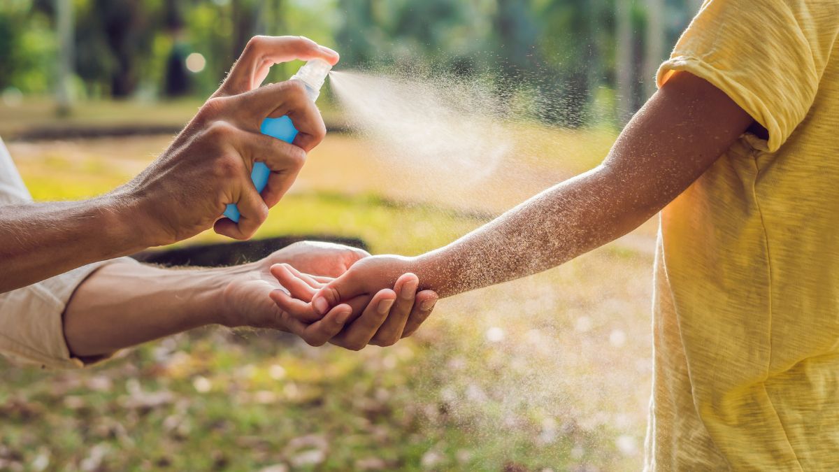 five-natural-home-remedies-to-repel-mosquitoes-from-your-house-in-rainy-season