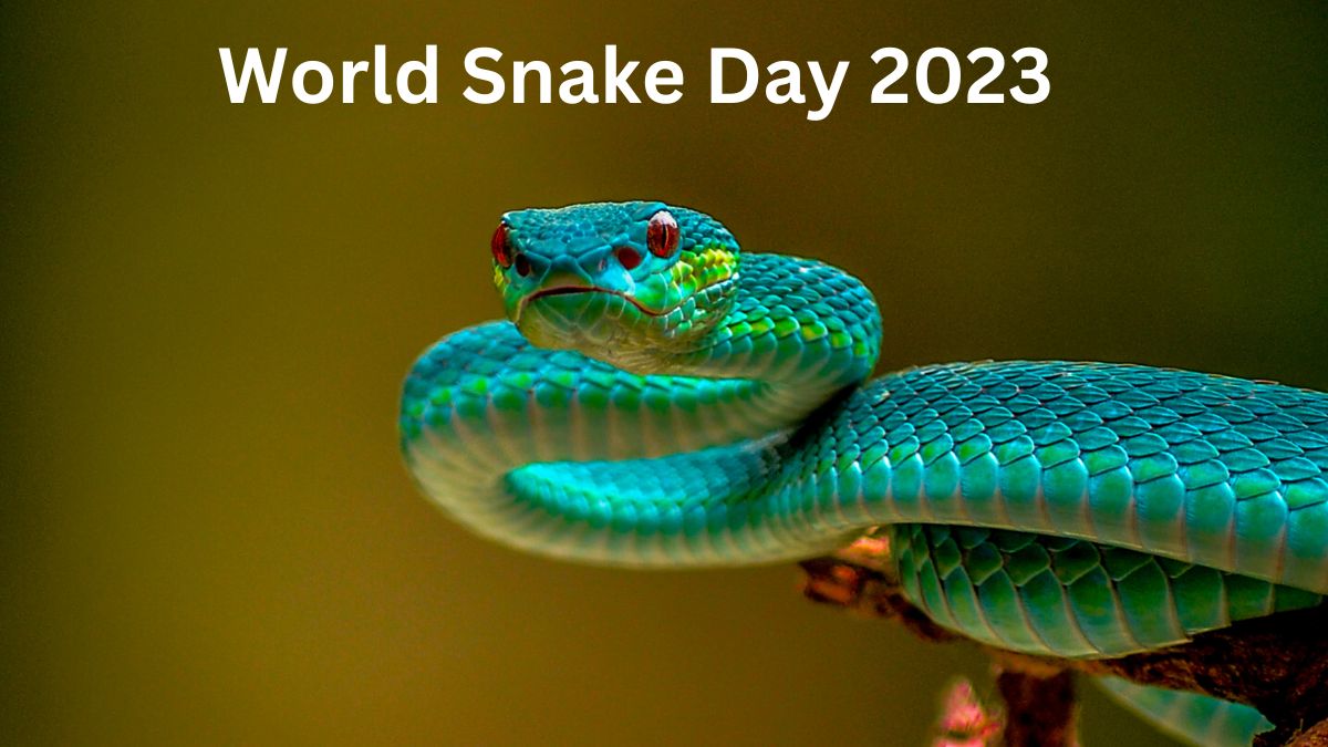 World Snake Day 2023 Why Is It Observed On July 16? All You Need To Know