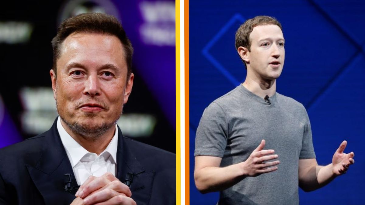 That was fun': Elon Musk after training for 'cage match' with Mark  Zuckerberg