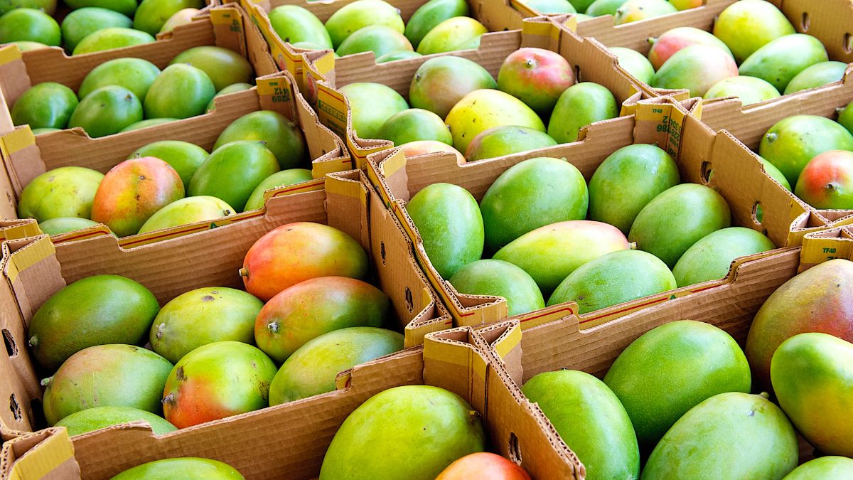 Mango Lover? 5 Most Expensive Mangoes From Around The World That Will