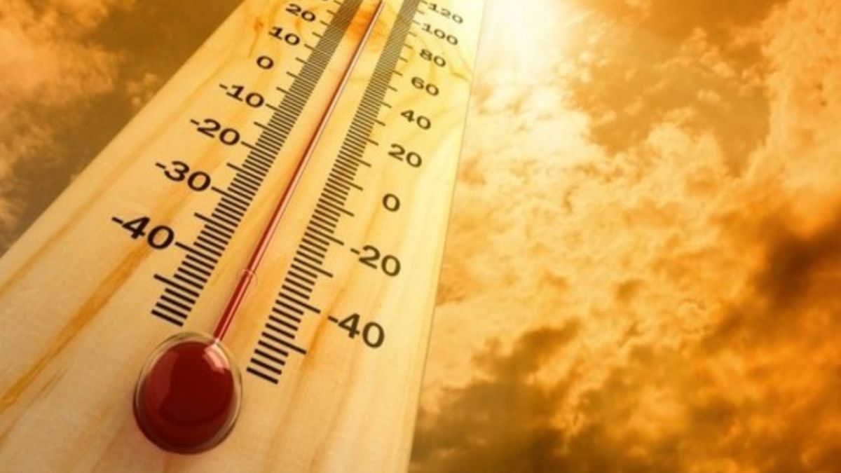 IMD Predicts Temperature Rise In North West India, Heatwave Alert Issued For Bihar, West Bengal | Check Weather Forecast