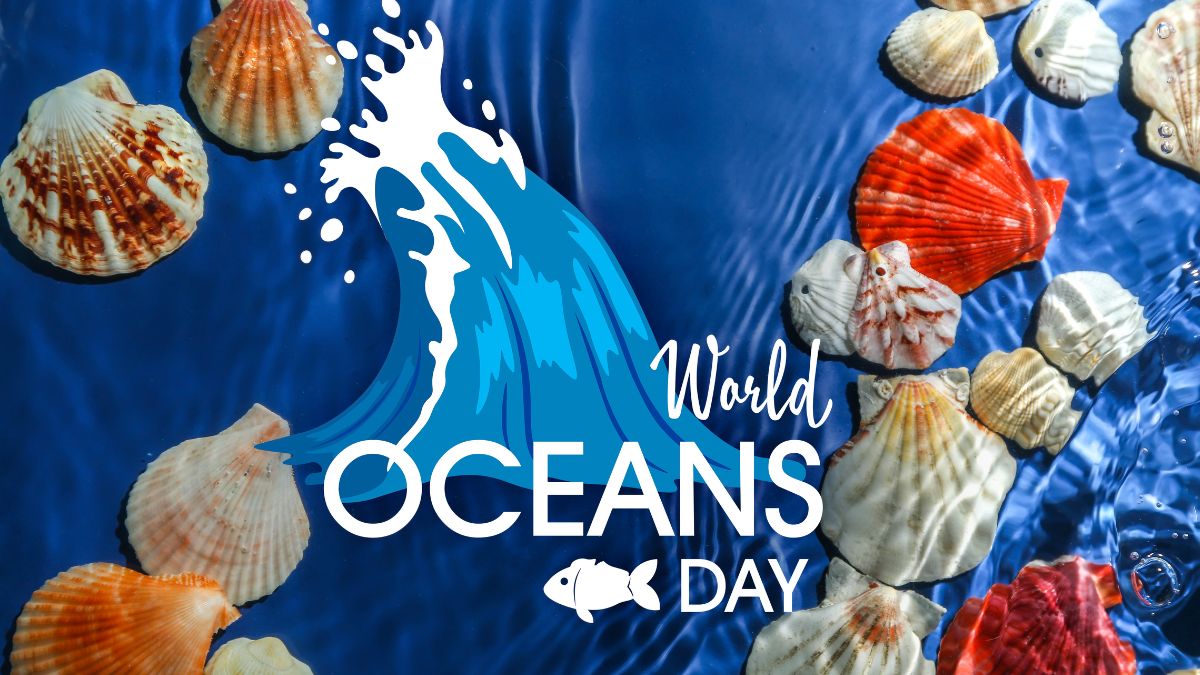 Happy World Ocean Day 2023 History, Significance, Theme, Observances