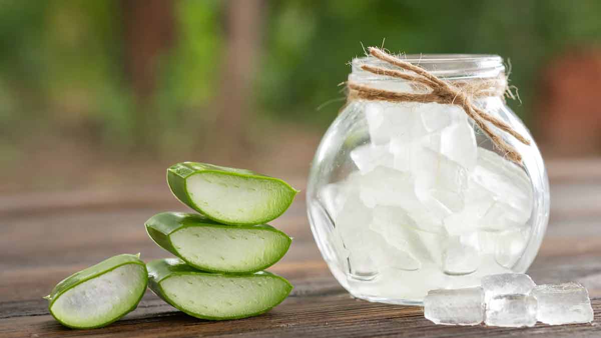 Best Aloe Vera Gel For Face To Prevent From Tanning