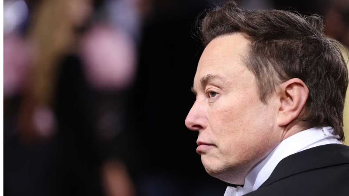 Elon Musk Has A 'Catty' Response To Reports Of Possible Twitter-Like ...