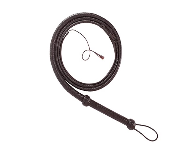 Best Horse Riding Equipment In India