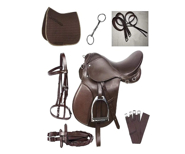 Best Horse Riding Equipment In India