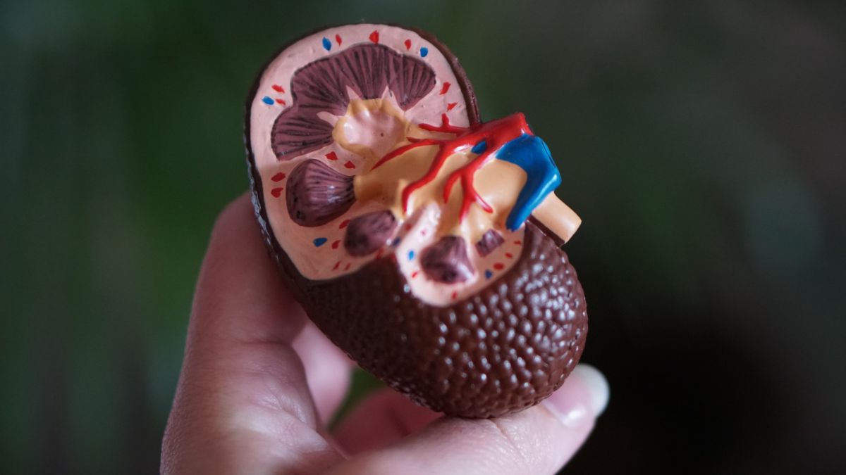 ai-model-could-soon-help-doctors-optimise-treatment-of-type-2-diabetes-induced-kidney-disease-illness-check-here