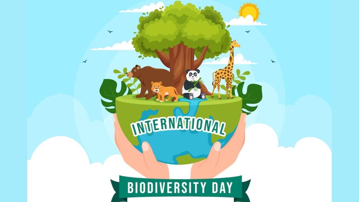 International Day For Biological Diversity 2023 Date, History