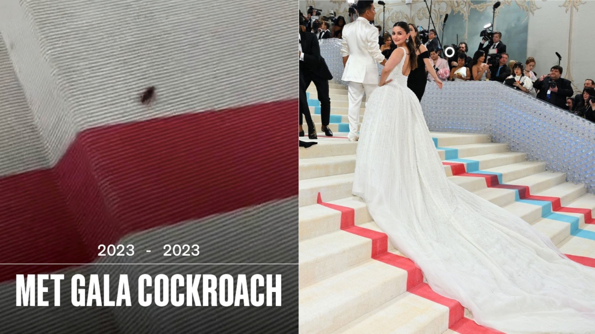 MET Gala 2023 A Cockroach’s Debut At The Red Carpet Is Winning Over