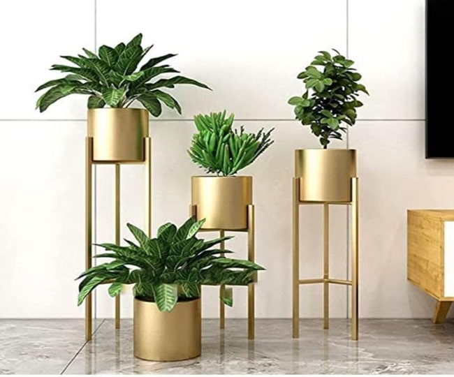 Best Plant Stands To Beautify Your Garden With Perfection